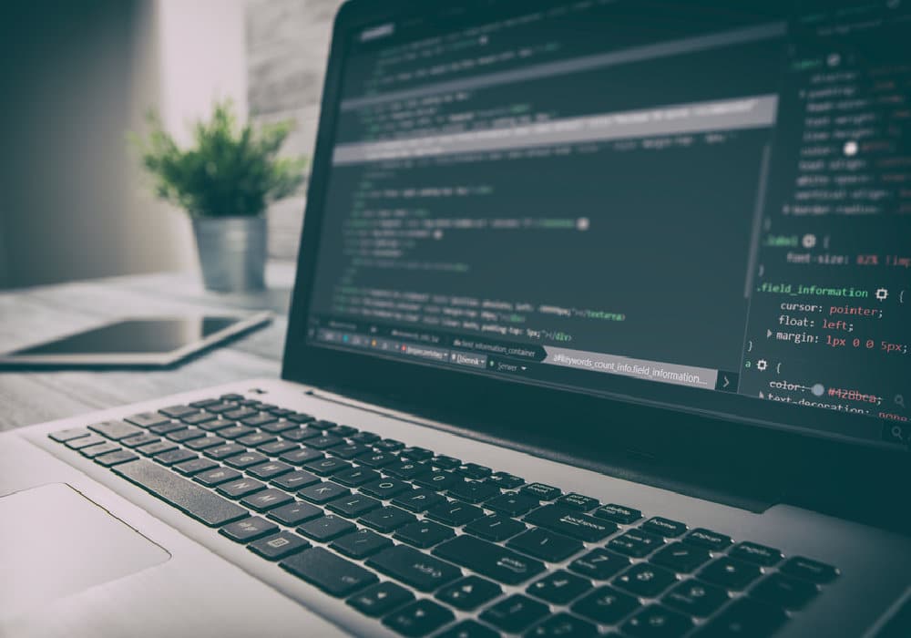 Web Development